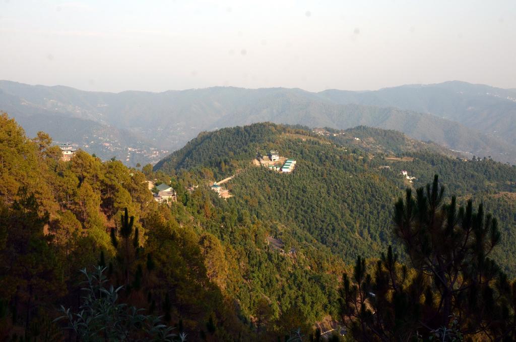 Woodsmoke Retreat Hotel Shimla Exterior photo
